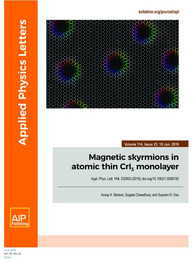 Skyrmions cover